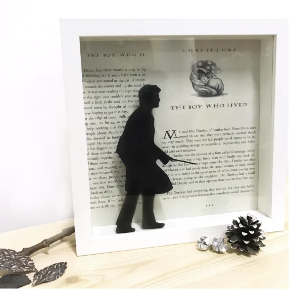 Cuadro Harry - Double Project